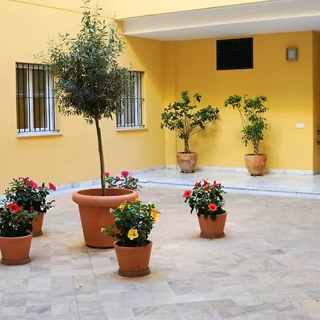 Avantistays Jacaranda *